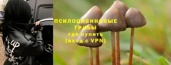 PSILOCYBIN Горно-Алтайск