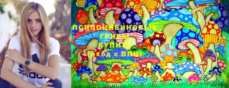 кракен вход  Белая Холуница  Галлюциногенные грибы MAGIC MUSHROOMS 